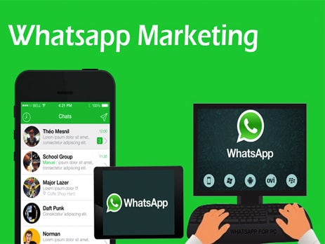 Whatsapp Marketing solutions